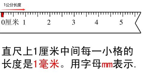 15公分算大嗎